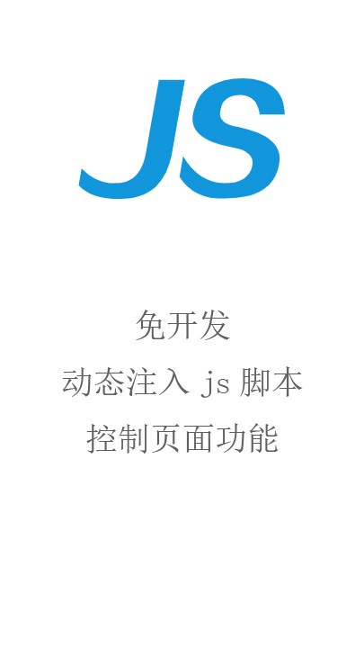 注入js 脚本